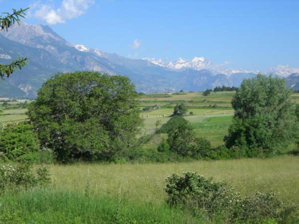 Alpineaccomodation Guillestre Dış mekan fotoğraf